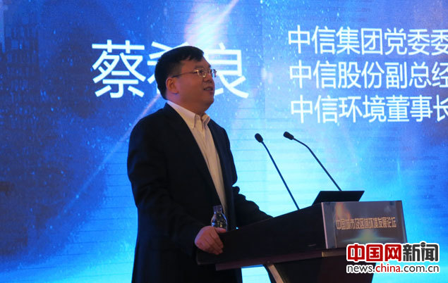 中信集团副总经理蔡希良发言。中国网记者张艳玲摄