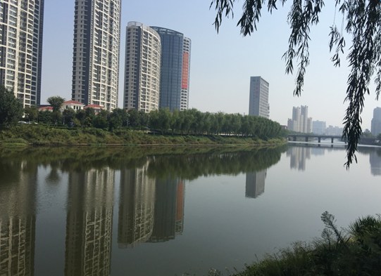1504151309255937.png 山东项目.png